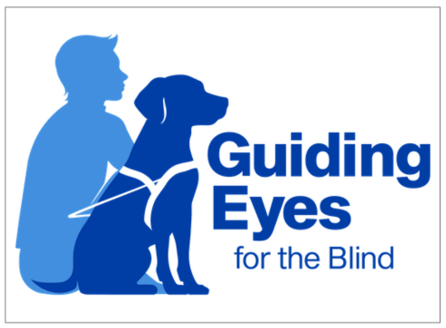 A side silhouette of a person sitting next to a Labrador guide dog wearing a harness. The guide dog is front of the person, and they are both looking in the same direction. To the right of the image, the text reads 'Guiding Eyes' in large bold letters, with 'for the Blind' in smaller text below. The entire logo is in our standard Guiding Eyes “blue” apart from the guide dog handler who is a lighter shade of blue.