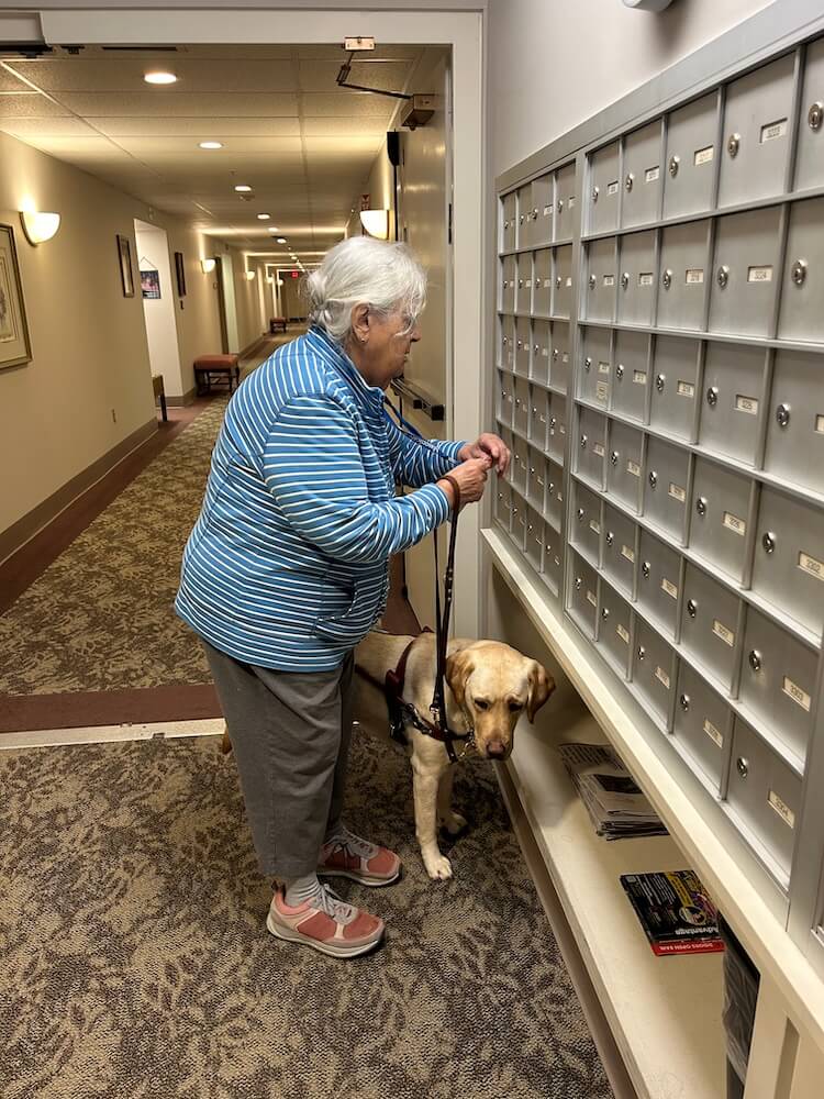 Guide Kendall calmly waiting while Melanie retrieves her mail