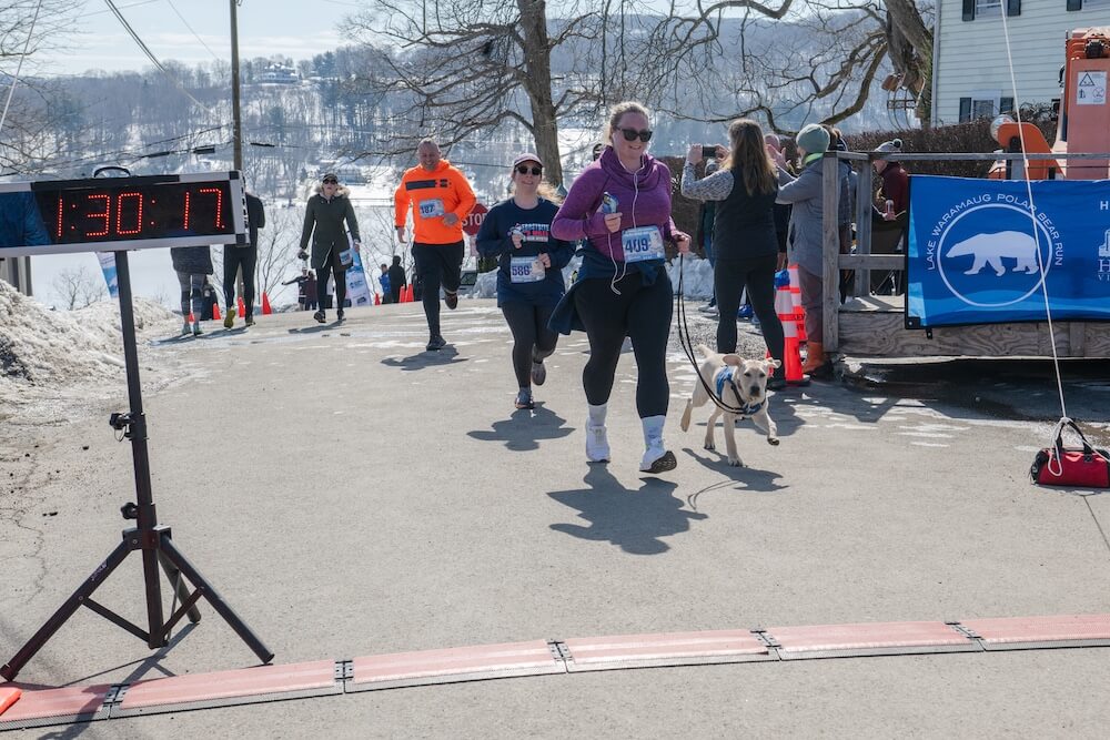 Yellow puppy Vale jumps into the race in time to accompany raiser Liz over the Finish Line